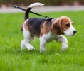 /album/photogallery/images-22-jpg/
